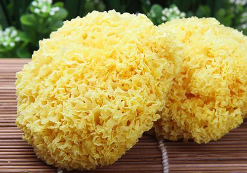 銀耳潮了還能吃嗎 銀耳可以長期喝嗎 銀耳潮了還能吃嗎 銀耳可以長期喝嗎