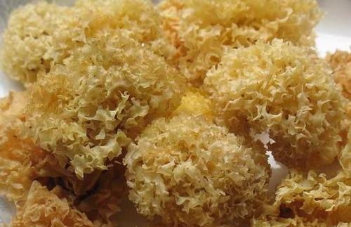 銀耳潮了還能吃嗎 銀耳可以長期喝嗎 銀耳潮了還能吃嗎 銀耳可以長期喝嗎