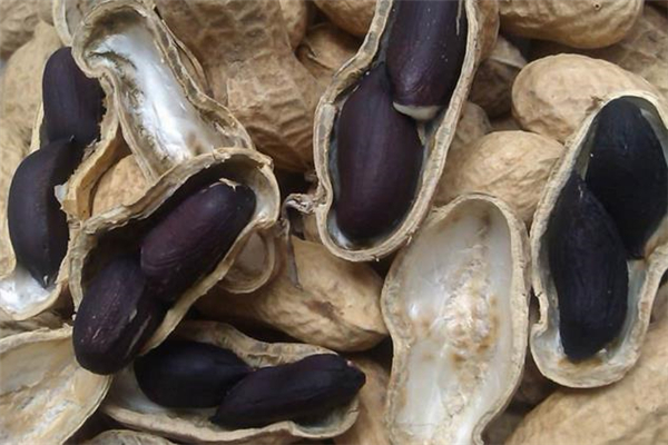 黑皮花生和紅皮花生哪個(gè)好 黑皮花生怎么吃