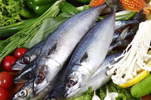 膽固醇高可以吃馬鮫魚嗎 馬鮫魚的食用禁忌