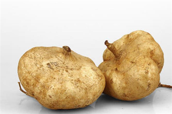 涼薯能放冰箱保存嗎 涼薯為什么會(huì)變色 涼薯能放冰箱保存嗎 涼薯為什么會(huì)變色