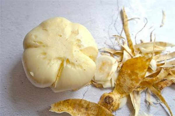 涼薯可以燉湯嗎 涼薯怎么煲湯好喝 涼薯可以燉湯嗎 涼薯怎么煲湯好喝