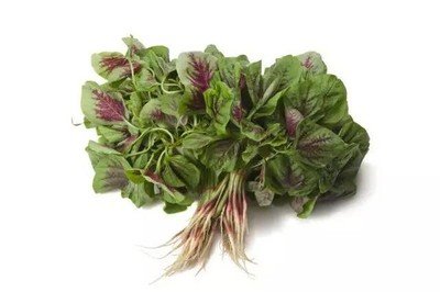 紅莧菜隔夜能吃嗎 紅莧菜隔夜吃的危害 紅莧菜隔夜能吃嗎 紅莧菜隔夜吃的危害