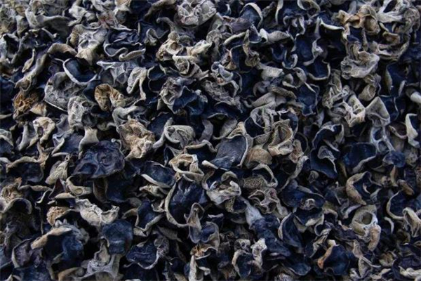 煮熟的木耳能放多久 煮好的木耳泡了一晚上還能吃嗎 煮熟的木耳能放多久 煮好的木耳泡了一晚上還能吃嗎