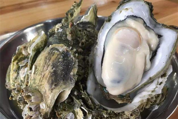 多吃生蠔會生兒子嗎 生蠔對男人有哪些好處 多吃生蠔會生兒子嗎 生蠔對男人有哪些好處