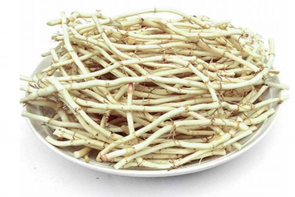 折耳根是魚腥草嗎 折耳根和魚腥草一樣嗎 折耳根是魚腥草嗎 折耳根和魚腥草一樣嗎