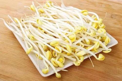 什么樣的綠豆芽有毒 綠豆芽炒蒜苗怎么做好吃 什么樣的綠豆芽有毒 綠豆芽炒蒜苗怎么做好吃