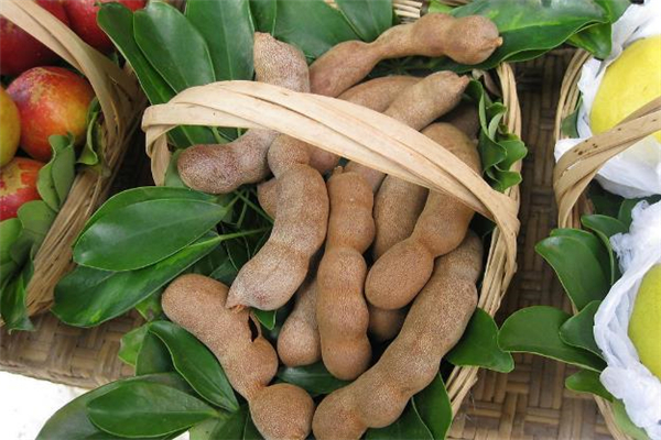 吃酸角能預(yù)防癌癥嗎 酸角能防輻射嗎 吃酸角能預(yù)防癌癥嗎 酸角能防輻射嗎