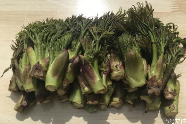 刺龍芽可以吃 刺龍芽有什么營(yíng)養(yǎng)價(jià)值 刺龍芽可以吃 刺龍芽有什么營(yíng)養(yǎng)價(jià)值