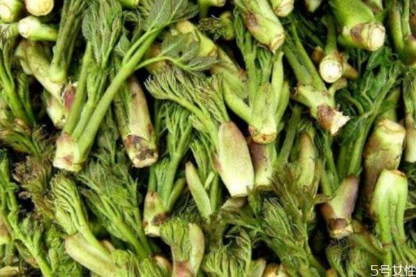 刺龍芽可以吃 刺龍芽有什么營(yíng)養(yǎng)價(jià)值 刺龍芽可以吃 刺龍芽有什么營(yíng)養(yǎng)價(jià)值