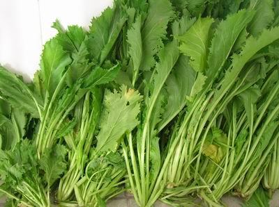 雪里紅為什么要腌制 雪里紅要腌制多長時(shí)間