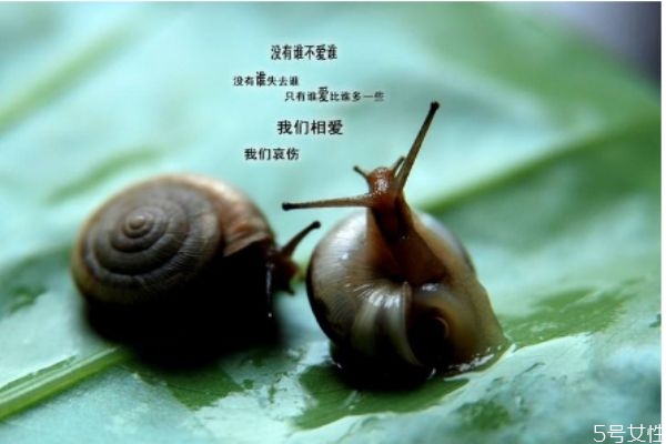 現(xiàn)實的婚姻 先婚后愛 現(xiàn)實的婚姻 先婚后愛