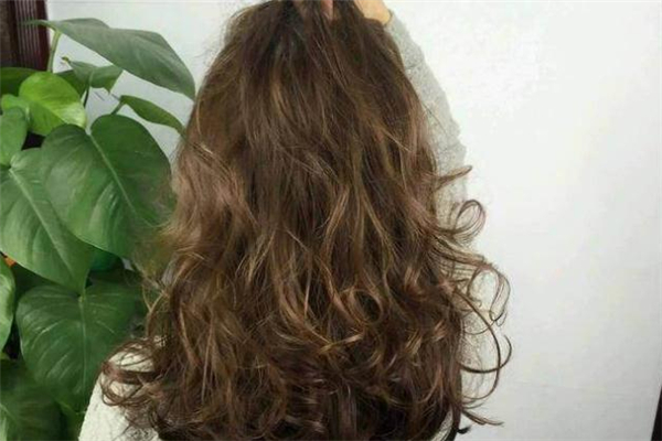 橄欖棕發(fā)色容易掉色嗎 橄欖棕在陽(yáng)光下是什么顏色 橄欖棕發(fā)色容易掉色嗎 橄欖棕在陽(yáng)光下是什么顏色