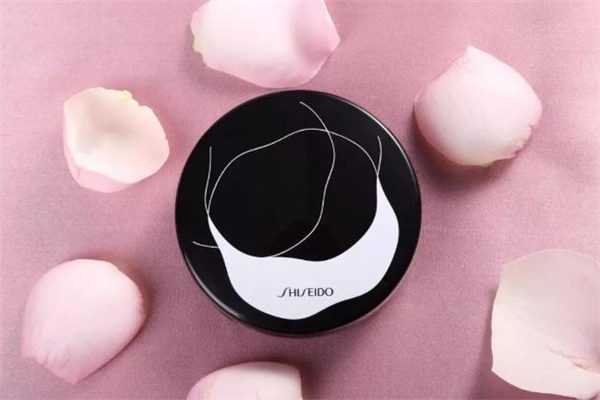 資生堂氣墊適合油皮嗎 資生堂氣墊n2和g2的區(qū)別 資生堂氣墊適合油皮嗎 資生堂氣墊n2和g2的區(qū)別