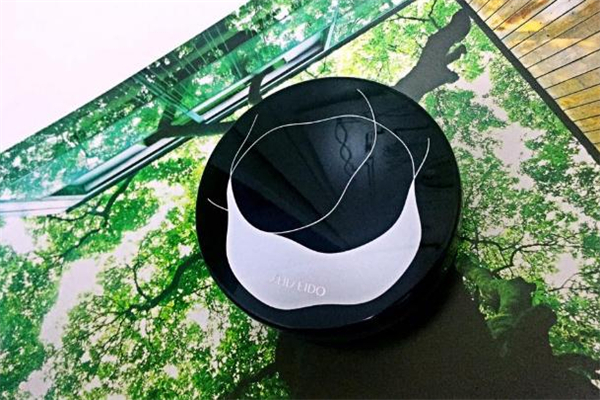 資生堂氣墊適合油皮嗎 資生堂氣墊n2和g2的區(qū)別 資生堂氣墊適合油皮嗎 資生堂氣墊n2和g2的區(qū)別