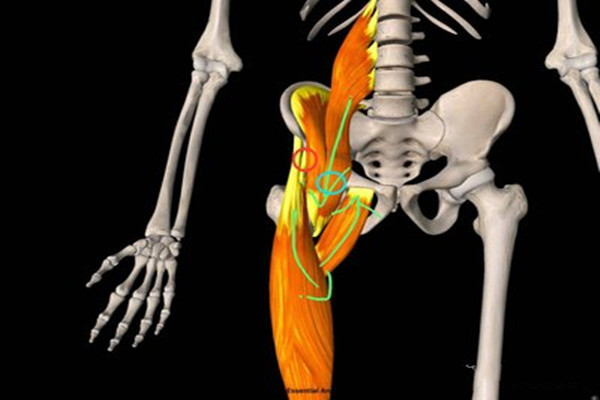 鍛煉腹直肌要注意什么 鍛煉腹直肌的注意事項 鍛煉腹直肌要注意什么 鍛煉腹直肌的注意事項