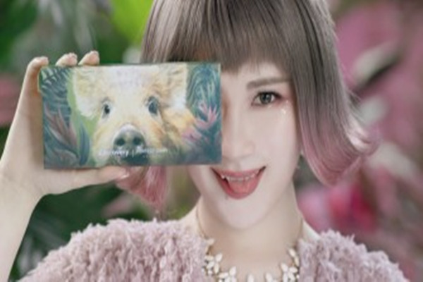 完美日記小豬眼影盤(pán)好看嗎 完美日記小豬眼影盤(pán)怎么樣