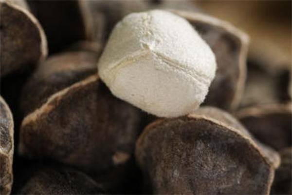 辣木籽可以解酒嗎 辣木籽喝酒前吃真的管用嗎 辣木籽可以解酒嗎 辣木籽喝酒前吃真的管用嗎