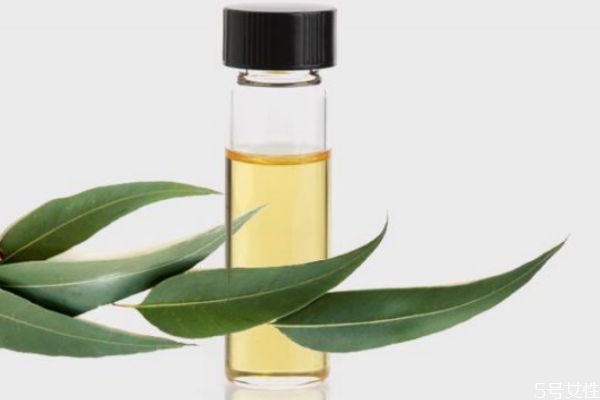 茶樹(shù)精華液可以祛痘嗎 茶樹(shù)精華液有祛痘的作用嗎