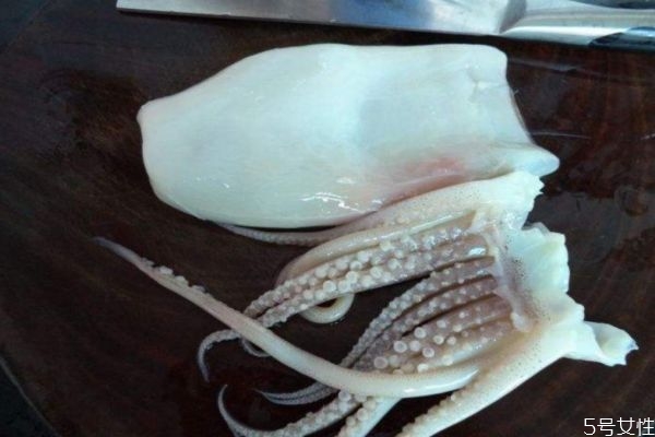 魷魚的處理方法 魷魚應(yīng)該怎么處理 魷魚的處理方法 魷魚應(yīng)該怎么處理