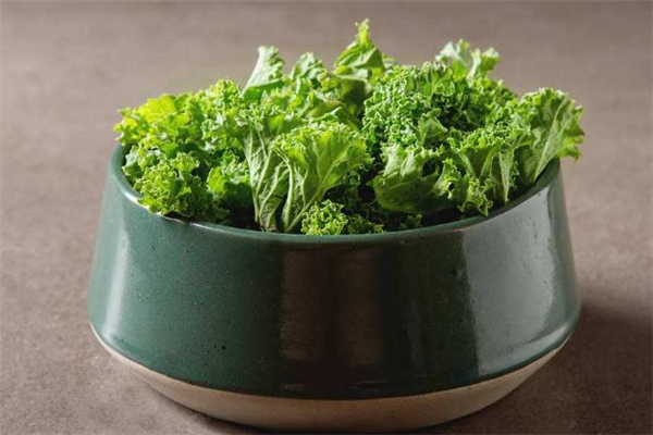 羽衣甘藍(lán)可以給寶寶吃嗎 羽衣甘藍(lán)怎么做給寶寶吃 羽衣甘藍(lán)可以給寶寶吃嗎 羽衣甘藍(lán)怎么做給寶寶吃