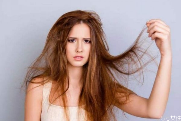 減肥節(jié)食會(huì)不會(huì)掉頭發(fā) 節(jié)食減肥會(huì)造成掉頭發(fā)嗎 減肥節(jié)食會(huì)不會(huì)掉頭發(fā) 節(jié)食減肥會(huì)造成掉頭發(fā)嗎