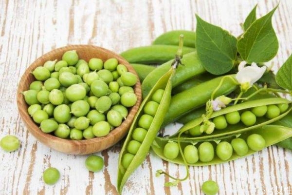 豌豆變黃還能吃嗎 豌豆變黃是壞了嗎 豌豆變黃還能吃嗎 豌豆變黃是壞了嗎