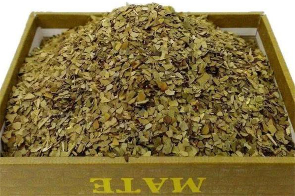 馬黛茶什么味道 馬黛茶為什么用吸管 馬黛茶什么味道 馬黛茶為什么用吸管