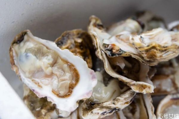 清洗生蠔的方法 生蠔應(yīng)該怎么清洗 清洗生蠔的方法 生蠔應(yīng)該怎么清洗