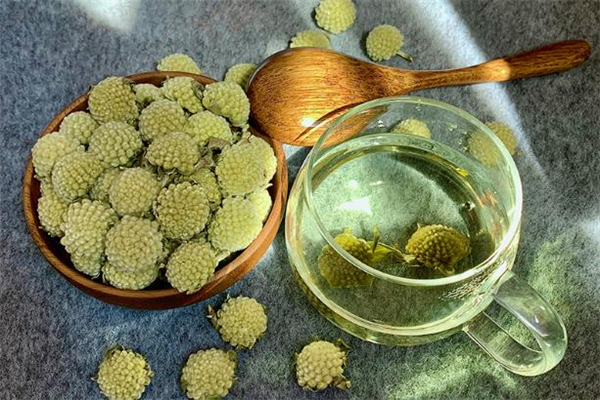 綠蘿花茶能降血糖嗎 糖尿病人可以喝綠蘿花茶嗎