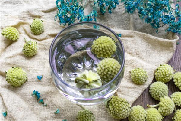 綠蘿花茶每天喝多少 綠蘿花茶可以加冰糖嗎 綠蘿花茶每天喝多少 綠蘿花茶可以加冰糖嗎