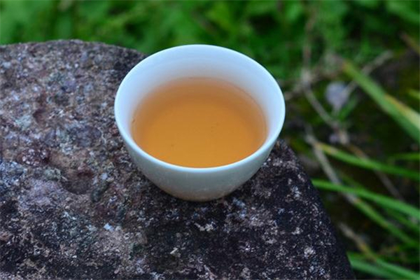 水仙茶怎么鑒別真假 水仙茶怎么區(qū)分好壞 水仙茶怎么鑒別真假 水仙茶怎么區(qū)分好壞