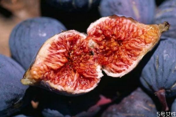 無(wú)花果可以減肥嗎 減肥可以吃無(wú)花果嗎 無(wú)花果可以減肥嗎 減肥可以吃無(wú)花果嗎