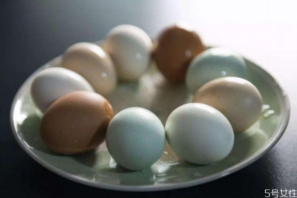挑選鵝蛋的方法 應該怎么挑選鵝蛋