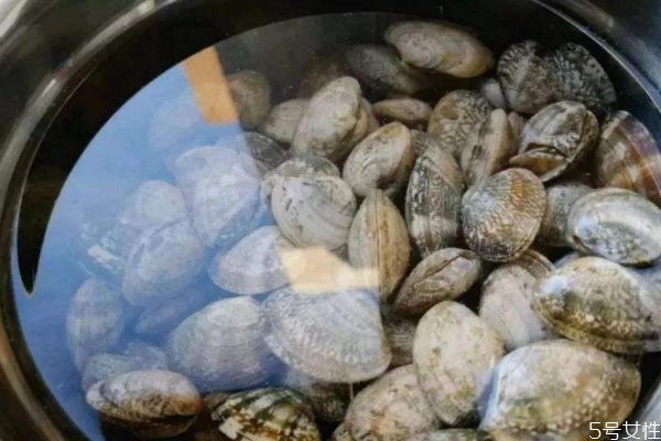 怎么判斷花甲死沒(méi)死 判斷花甲死沒(méi)死的方法