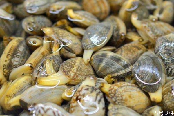 怎么判斷花甲死沒(méi)死 判斷花甲死沒(méi)死的方法