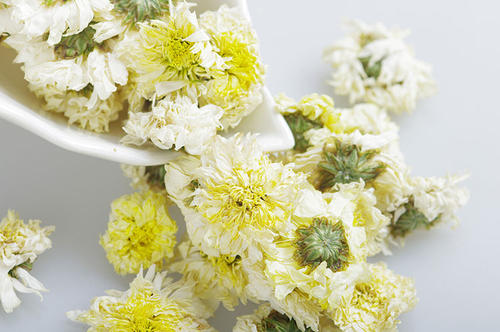 貢菊花月經(jīng)期能喝嗎 貢菊花能天天喝嗎 貢菊花月經(jīng)期能喝嗎 貢菊花能天天喝嗎