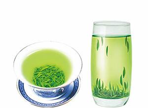 雀舌茶產(chǎn)于哪里 雀舌茶的特點 雀舌茶產(chǎn)于哪里 雀舌茶的特點