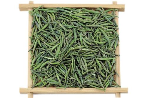 什么人不適合喝雀舌茶 雀舌茶適合什么人群喝 什么人不適合喝雀舌茶 雀舌茶適合什么人群喝