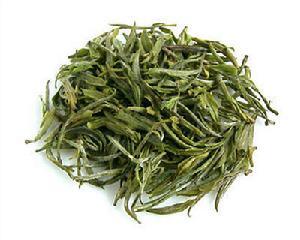 什么人不適合喝東白春芽 喝東白春芽能減肥嗎 什么人不適合喝東白春芽 喝東白春芽能減肥嗎