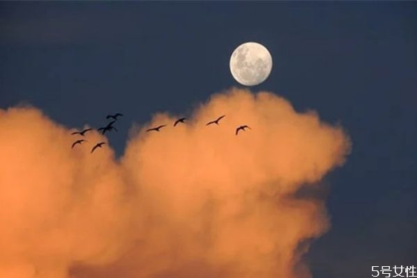 挖墻腳難嗎 怎么挖墻腳成功率大 挖墻腳難嗎 怎么挖墻腳成功率大