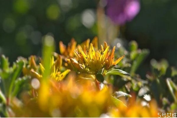 夫妻感情破裂如何挽回 夫妻感情破裂怎么挽救 夫妻感情破裂如何挽回 夫妻感情破裂怎么挽救