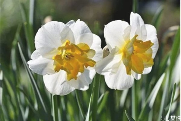 男人說性格不合會復(fù)合嗎 性格不合分手能和好嗎