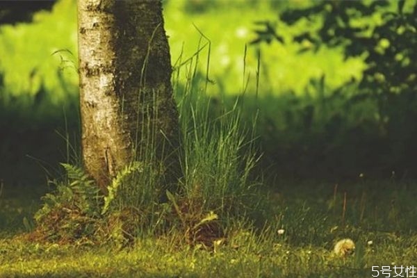 為什么男生喜歡冷戰(zhàn) 冷戰(zhàn)時男人的想法 為什么男生喜歡冷戰(zhàn) 冷戰(zhàn)時男人的想法