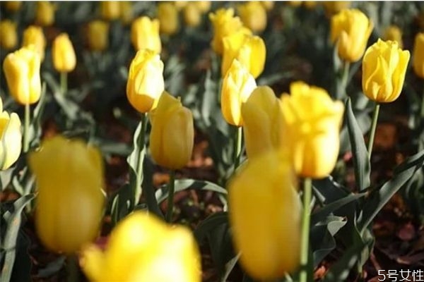 為什么男生喜歡冷戰(zhàn) 冷戰(zhàn)時男人的想法 為什么男生喜歡冷戰(zhàn) 冷戰(zhàn)時男人的想法