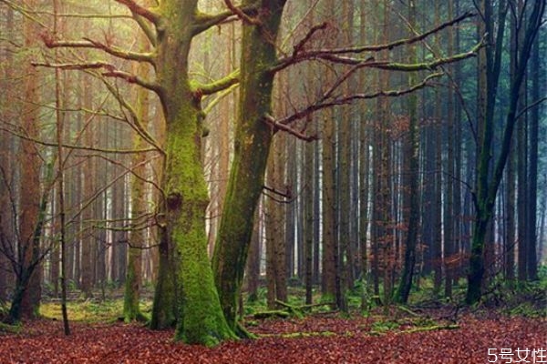 為什么男生喜歡冷戰(zhàn) 冷戰(zhàn)時男人的想法 為什么男生喜歡冷戰(zhàn) 冷戰(zhàn)時男人的想法