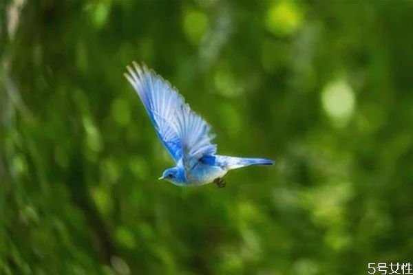 夫妻冷戰(zhàn)多久會(huì)沒(méi)有感情 冷戰(zhàn)之后怎么和好 夫妻冷戰(zhàn)多久會(huì)沒(méi)有感情 冷戰(zhàn)之后怎么和好