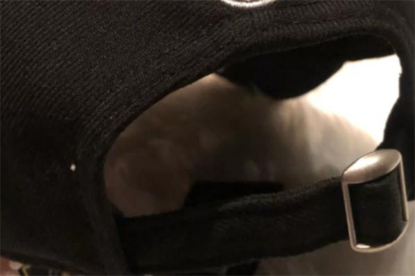 mlb帽子金屬扣怎么調(diào)節(jié) mlb帽子金屬扣有幾種 mlb帽子金屬扣怎么調(diào)節(jié) mlb帽子金屬扣有幾種