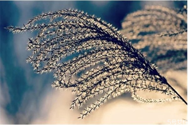 離婚后怎樣與前夫相處 離婚后如何對待前夫 離婚后怎樣與前夫相處 離婚后如何對待前夫