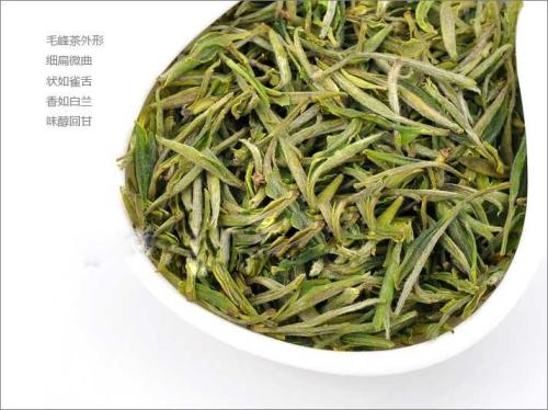 黃山毛峰產(chǎn)于哪里 黃山毛峰是什么檔次 黃山毛峰產(chǎn)于哪里 黃山毛峰是什么檔次